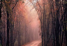 江南体育官网:2022世界杯喀麥隆陣容名單.